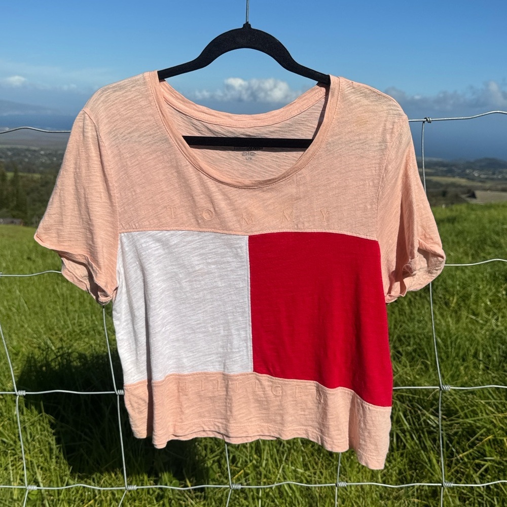 Tommy Hilfiger Preppy Y2K Logo Short Sleeve Cropped Tee flaw